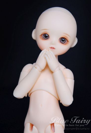 PF Sugar & Pepper Body [March Pre-Order] [Limited Time] | Preorder | PARTS