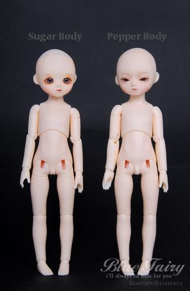 PF Sugar & Pepper Body [March Pre-Order] [Limited Time] | Preorder | PARTS