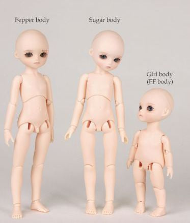 PF Sugar & Pepper Body [March Pre-Order] [Limited Time] | Preorder | PARTS