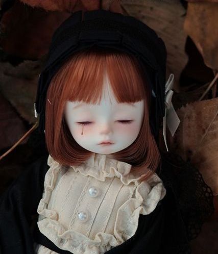 Pine-nut | Preorder | DOLL