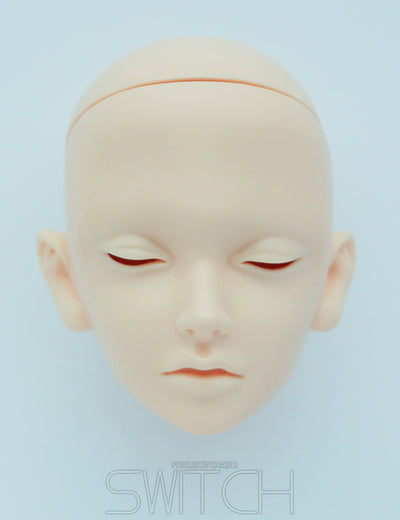 Monthly HD : PAVIAN Head [Limited time offer] | Preorder | PARTS