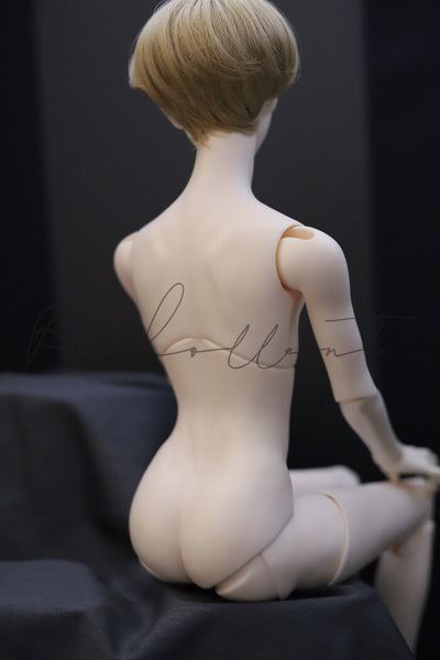 Accord Body _ Ange: White Skin [Limited Quantity] | Preorder | PARTS