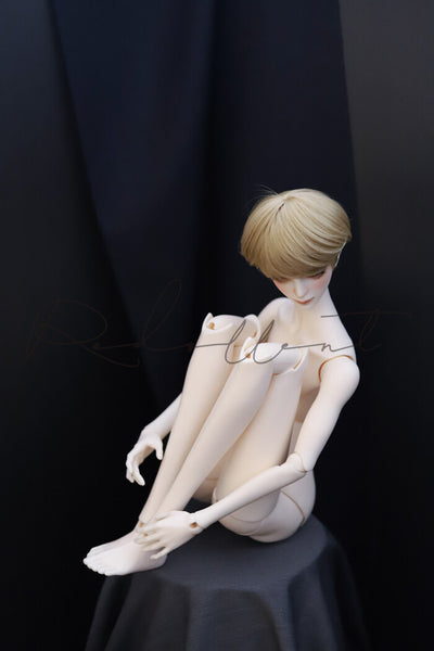 Accord Body _ Ange: White Skin [Limited Quantity] | Preorder | PARTS