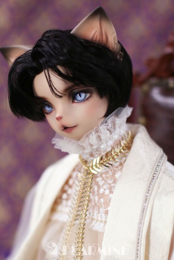 DANIEL mocha skin ~Numen~ [Limited Quantity] | Preorder | DOLL