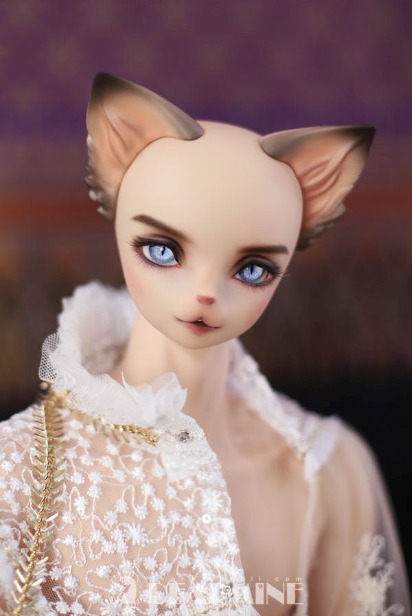 DANIEL mocha skin ~Numen~ [Limited Quantity] | Preorder | DOLL