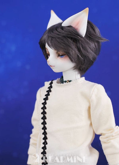 ARTHUR L. cool ver. ~starry night~ | Item in Stock | DOLL