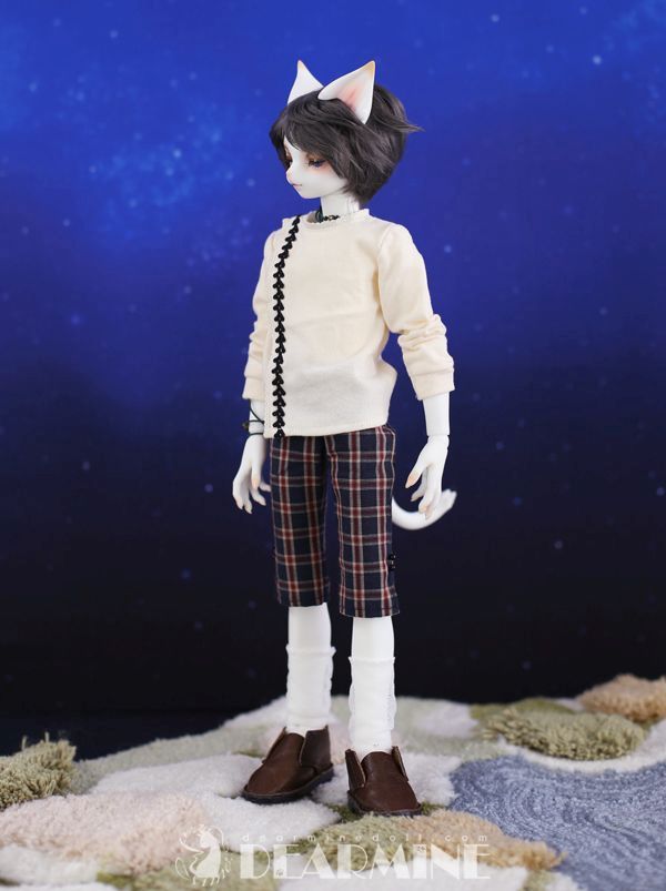 ARTHUR L. cool ver. ~starry night~ | Item in Stock | DOLL