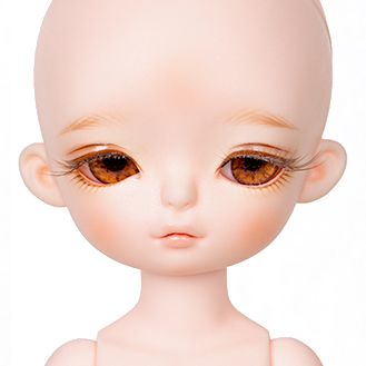 [BWD] Shawn Head | Preorder | PARTS