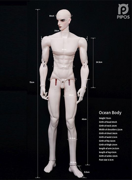 75 Demian Body + Head [Limited Quantity] | Preorder | DOLL