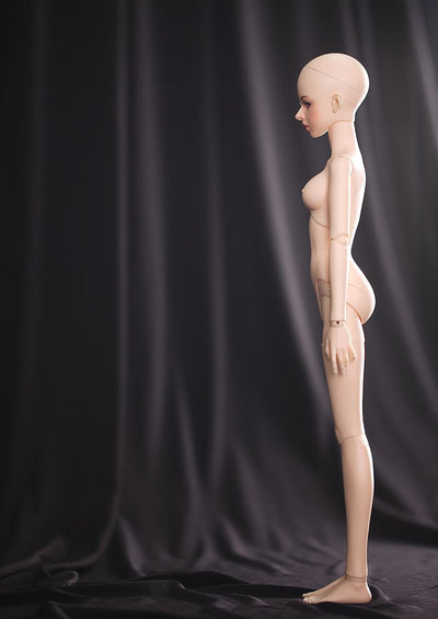 [JWD/Girl] 42cm Body (2019 Ver.) [Limited Time 5%OFF] | Preorder | PARTS