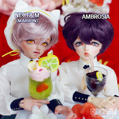 AMBROSIA -Marron Skin [Limited Time] | Preorder | DOLL