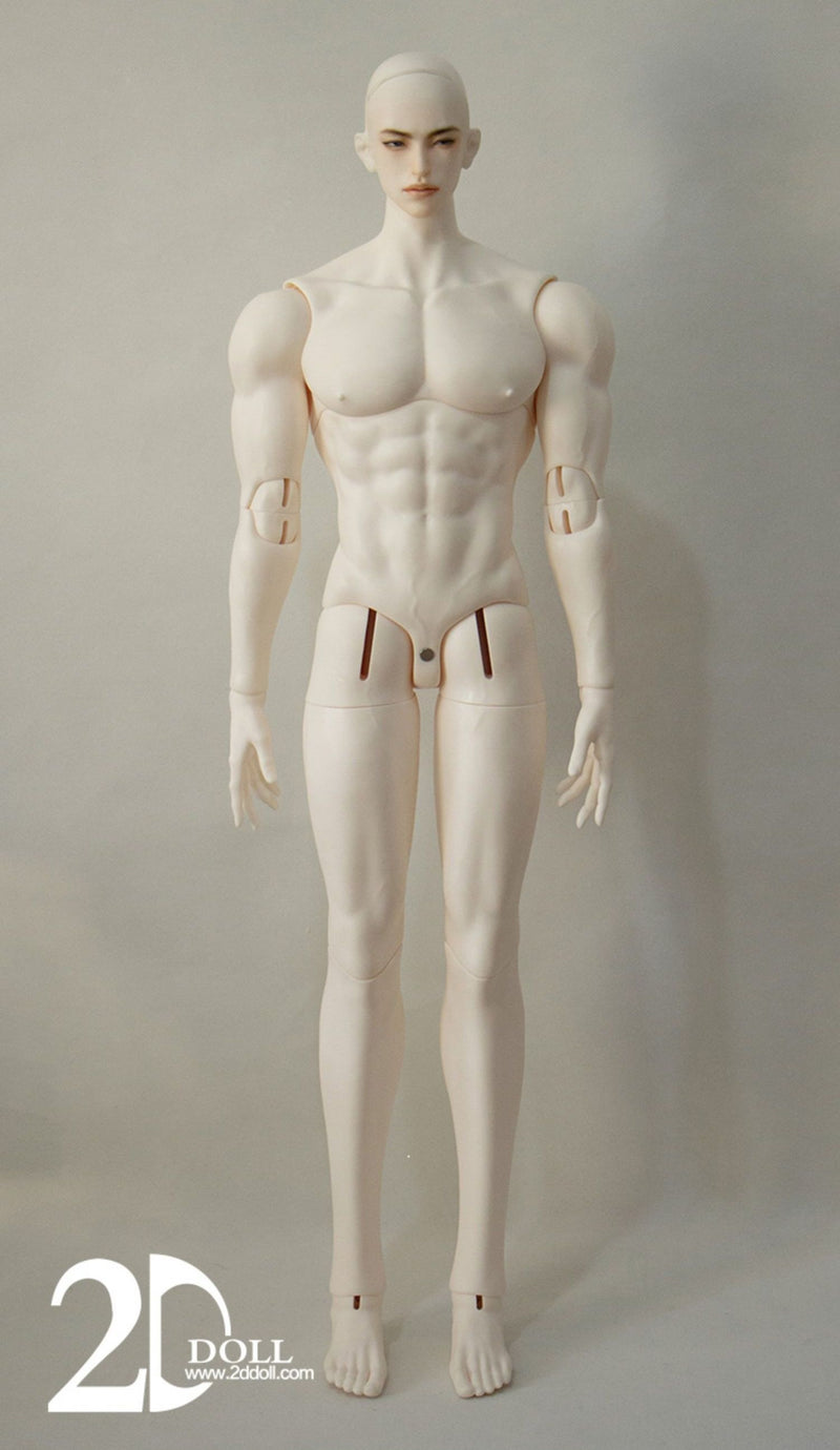 Male Body (75/80/83cm) [Limited Time Discount] | Preorder | PARTS