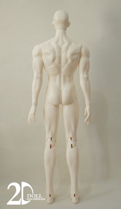 Male Body (75/80/83cm) [Limited Time Discount] | Preorder | PARTS