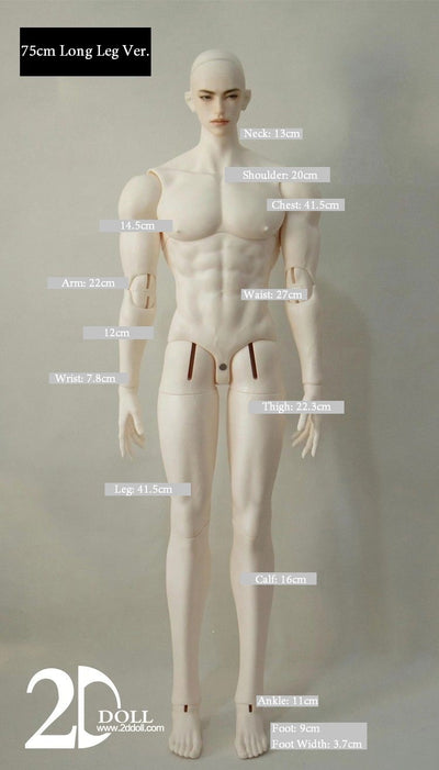 Male Body (75/80/83cm) [Limited Time Discount] | Preorder | PARTS