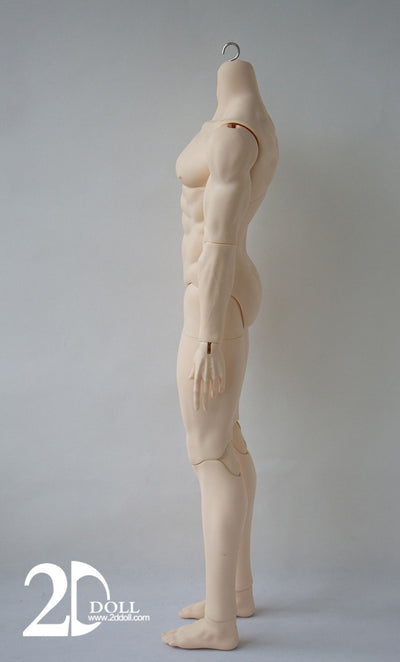 Male Body (75/80/83cm) [Limited Time Discount] | Preorder | PARTS