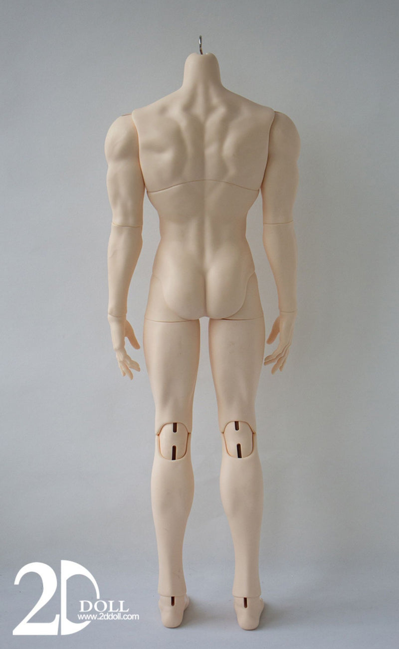 Male Body (75/80/83cm) [Limited Time Discount] | Preorder | PARTS