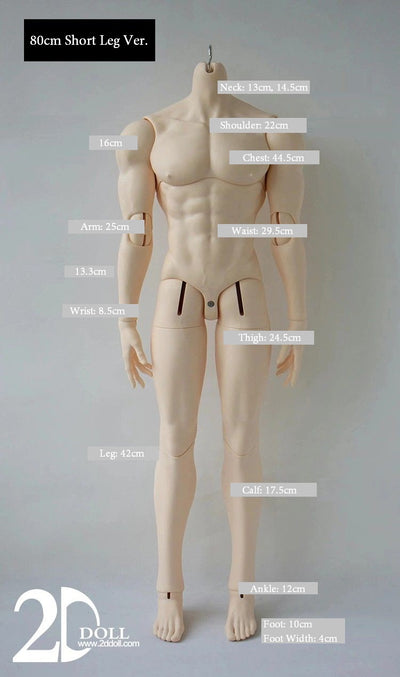 Male Body (75/80/83cm) [Limited Time Discount] | Preorder | PARTS