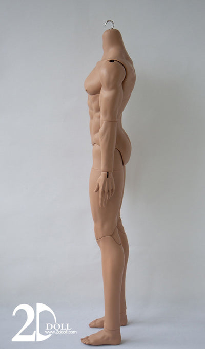 Male Body (75/80/83cm) [Limited Time Discount] | Preorder | PARTS