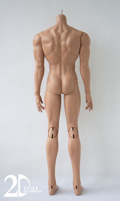 Male Body (75/80/83cm) [Limited Time Discount] | Preorder | PARTS