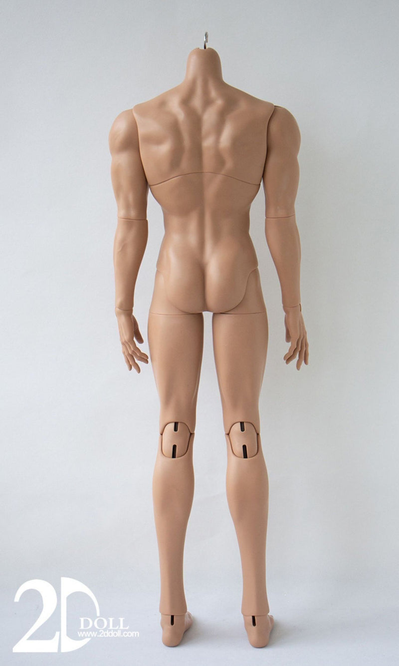 Male Body (75/80/83cm) [Limited Time Discount] | Preorder | PARTS