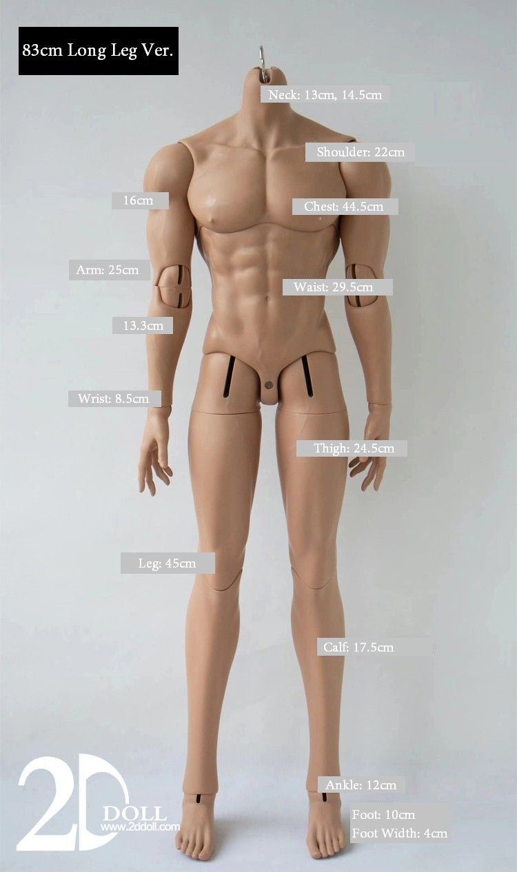 Male Body (75/80/83cm) [Limited Time Discount] | Preorder | PARTS