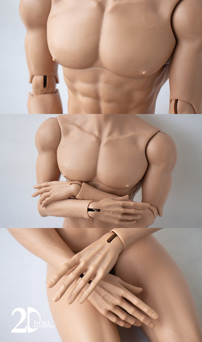 Male Body (75/80/83cm) [Limited Time Discount] | Preorder | PARTS