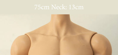 Male Body (75/80/83cm) [Limited Time Discount] | Preorder | PARTS