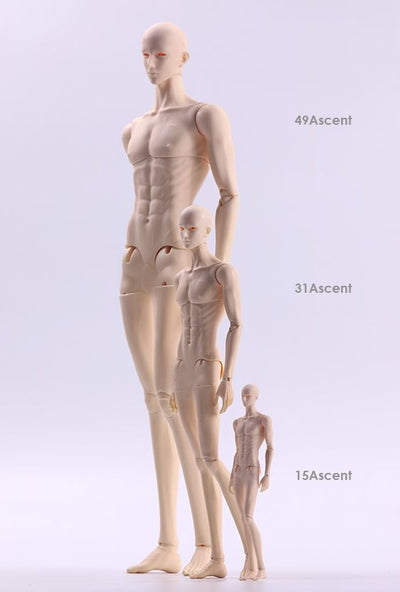 Male Body 49Ascent + Head | Preorder | DOLL