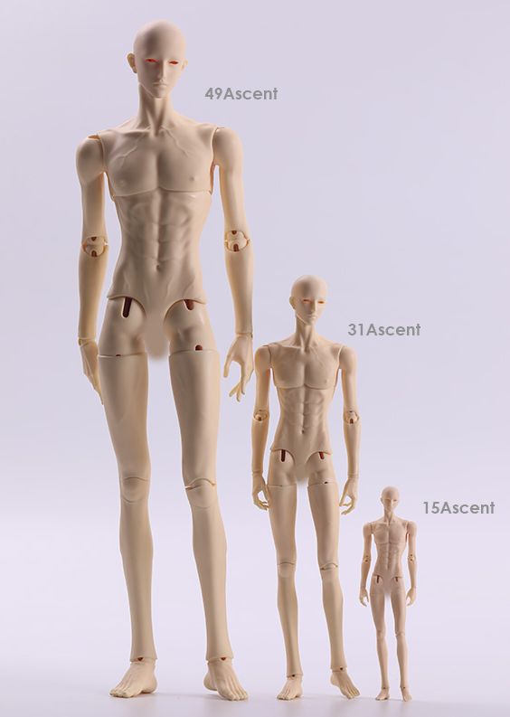 Male Body 49Ascent Ball Jointed Doll Dolk BJD