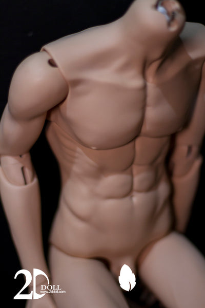 1/3 75cm Male Body Ver.2 | Preorder | PARTS