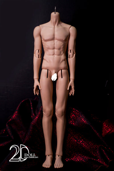 1/3 75cm Male Body Ver.2 | Preorder | PARTS