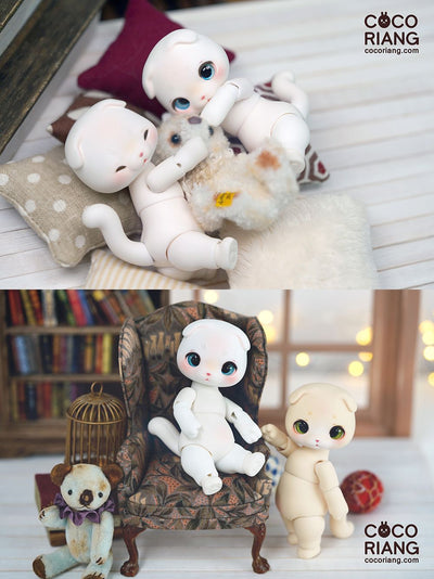 Moco [Cream White] | Preorder | DOLL