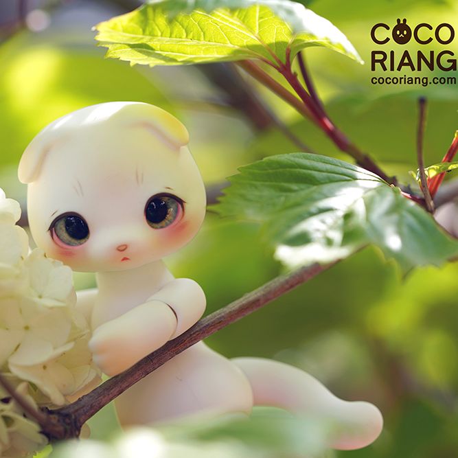 Moco [Cream White] | Preorder | DOLL