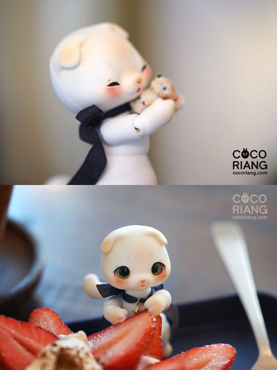 Moco [Cream White] | Preorder | DOLL