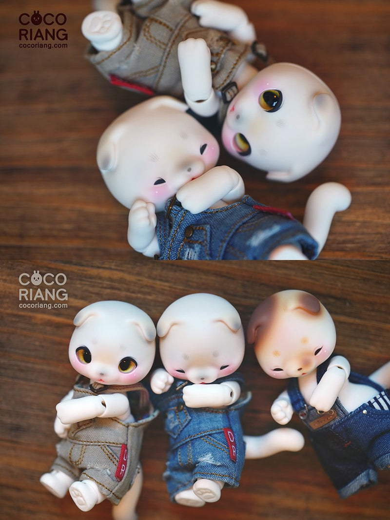 Moco [Cream White] | Preorder | DOLL