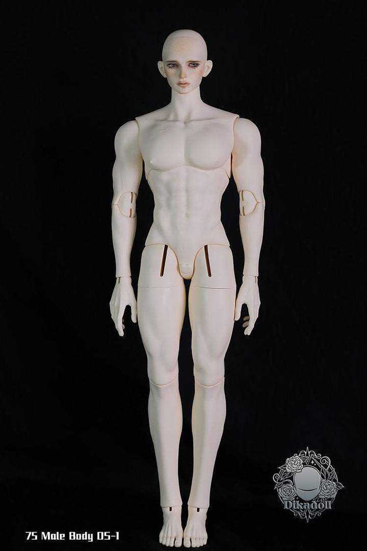 ディーラー様 75cm ドール　サイズ　服　フルセット 75cm Male Body DS-1 | Bjd Parts – Dolk BJD