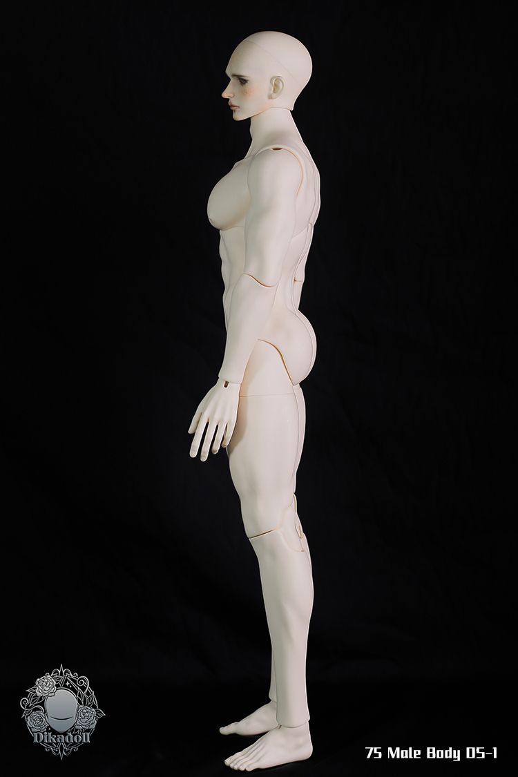 75cm Male Body DS-1 | Preorder | PARTS