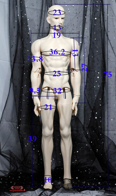 75cm Senior Boy Body | Preorder | PARTS