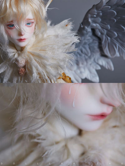 Lafal Fullset [Limited Time 7%OFF] | Preorder | DOLL