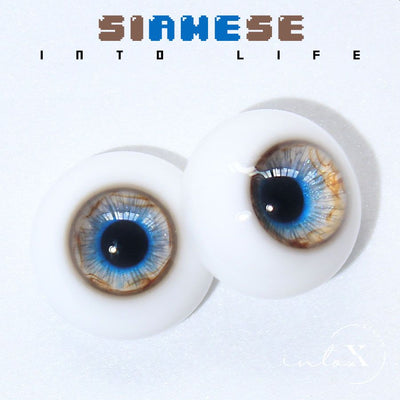 Siamese -14mm(14-S) | Item in Stock | EYE