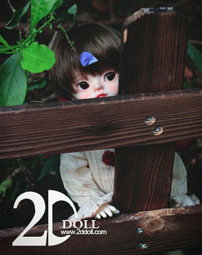 MaiMai | Preorder | DOLL