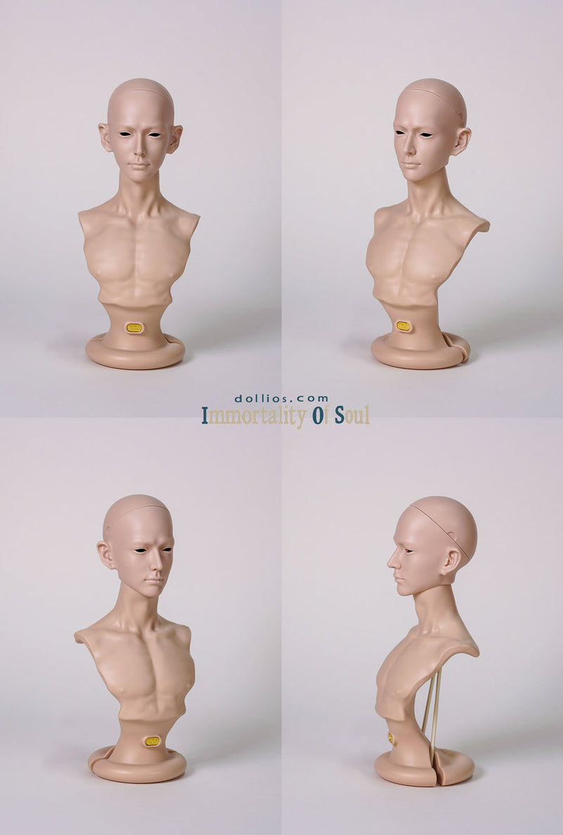 CONFUTATIS [Limited Time] | Preorder | DOLL