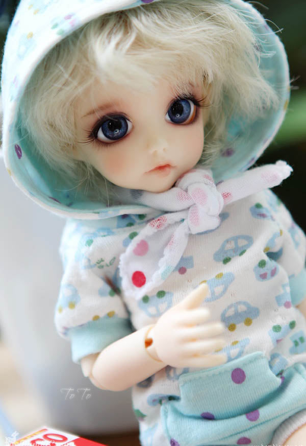 [CB] BASIC ToTo | Preorder | DOLL