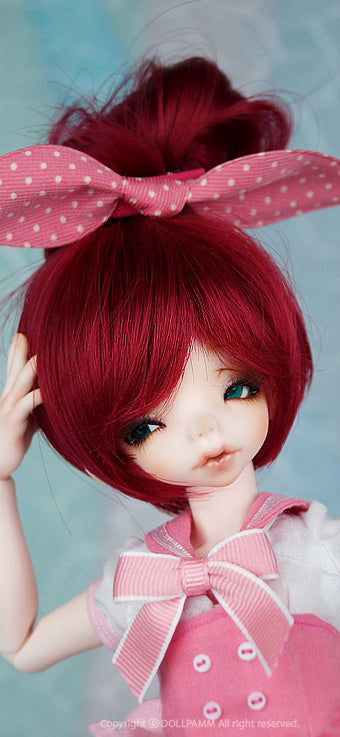 Dizzying HACHI (Basic set) | Preorder | DOLL