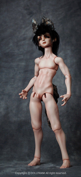 SHOTA TYPE - SHARK [Basic set] | Preorder | DOLL