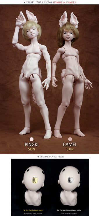 SHOTA TYPE - SHARK [Basic set] | Preorder | DOLL