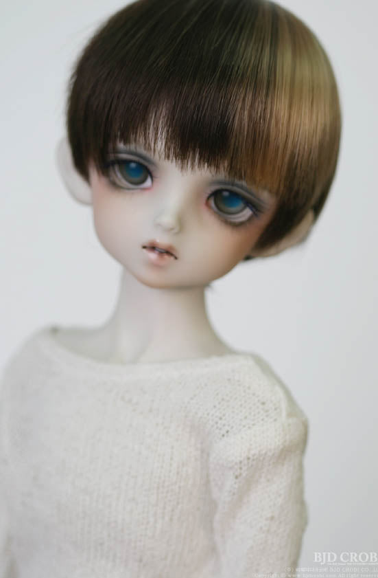 CRWM-113 (Mode Brown) | Item in Stock | WIG