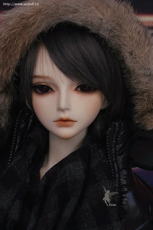 Evan | Preorder | DOLL