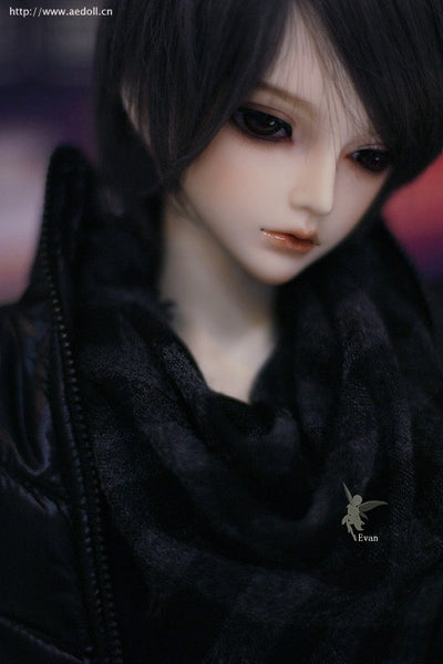 Evan | Preorder | DOLL