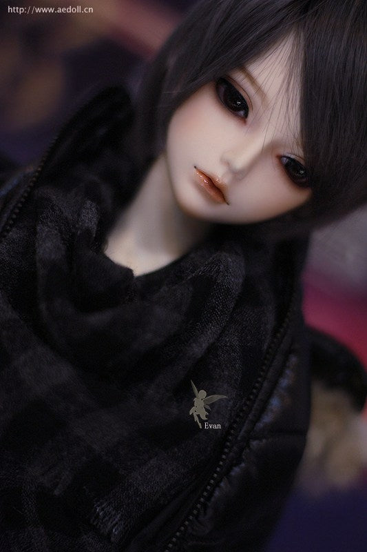 Evan | Preorder | DOLL